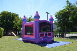 (29) Purplish Bounce House 13X13