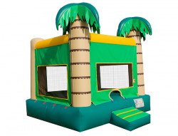 (24) JUNGLE BOUNCE HOUSE 13x13